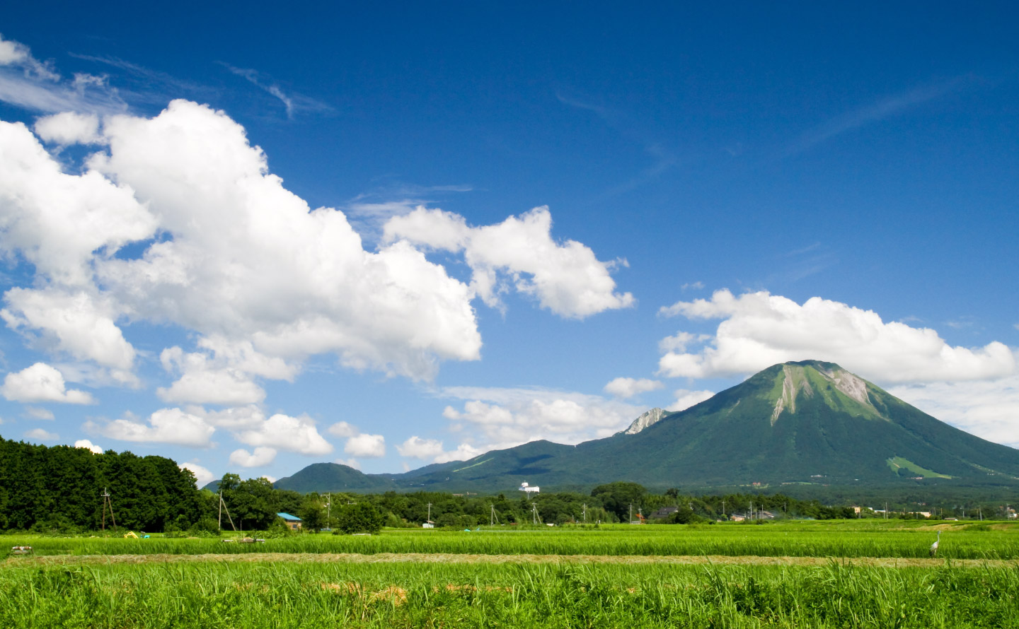 大山